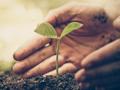 Center for Socially Responsible AI awards Big Ideas Grants to five projects | Penn State University