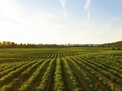 Research teams receive $1.1 million to study microbiomes in agriculture | Penn State University