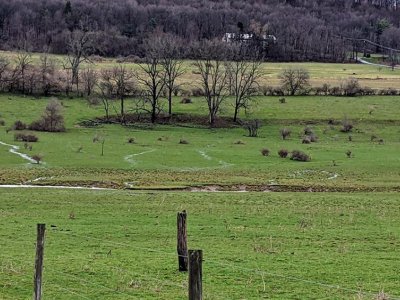 USDA grant funds study of effectiveness of vegetation to curb water pollution | Penn State University